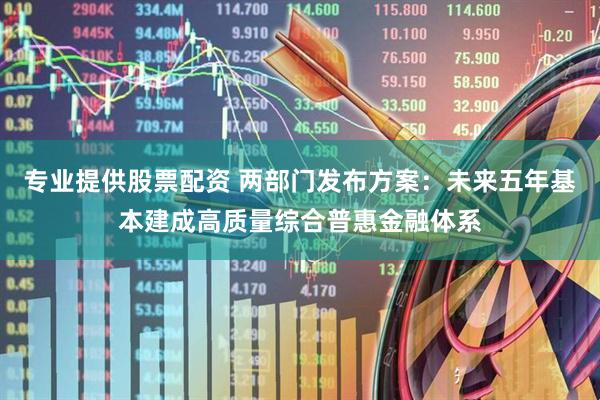 专业提供股票配资 两部门发布方案：未来五年基本建成高质量综合普惠金融体系